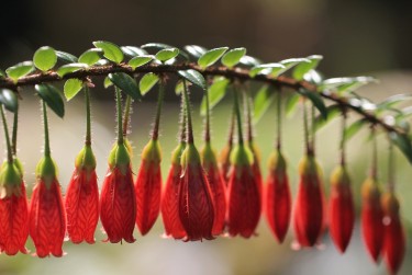 广州海珠区2私人快速借钱网，轻松解决资金难题