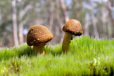 广州海珠区2私人老板放款：轻松融资的秘密通道